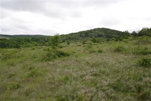 Celkový pohľad na lokalitu